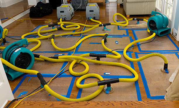 Professional Basement Flood Cleanup technician working in Cedar Bluffs, NE